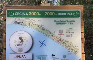 Appartamento Acquamarina - Foto 28