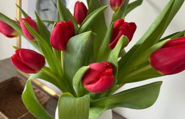 Apartamentos Rurales El Solsuco Casa MariaCarlos - Foto 37