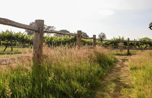 Oak Meadow - Foto 47