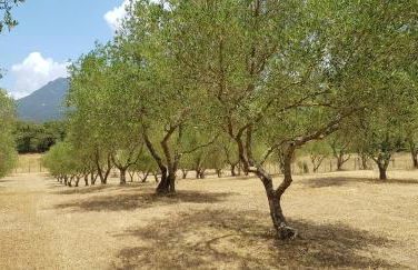 Casa Erbaggio - Foto 8