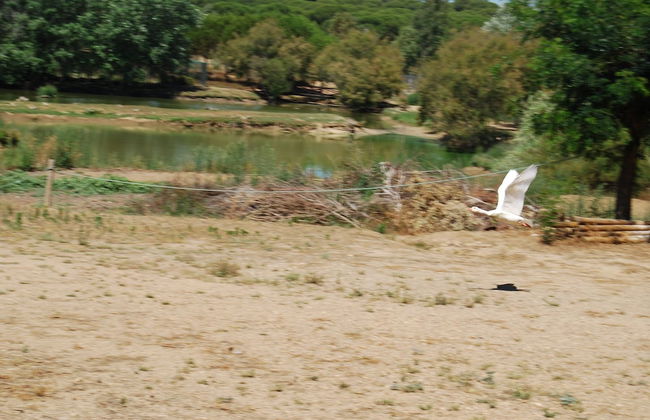 Vivienda Rural el Retorno - Foto 44