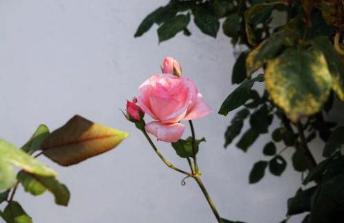 Casa Vanni - Foto 50