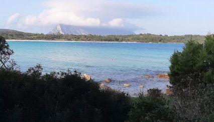 The Apricot House, alle porte di San Teodoro - Foto 4