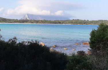 The Apricot House, alle porte di San Teodoro - Foto 4