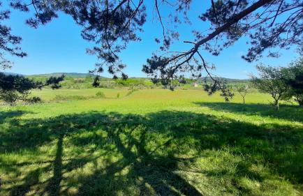 Tiny House Grabovac - Foto 33