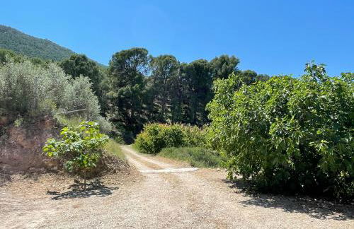 Casa Ramoncico. Finca el Campillo - Foto 39