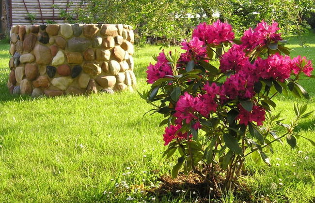 Sachon Comfortable Holiday Residence - Foto 12