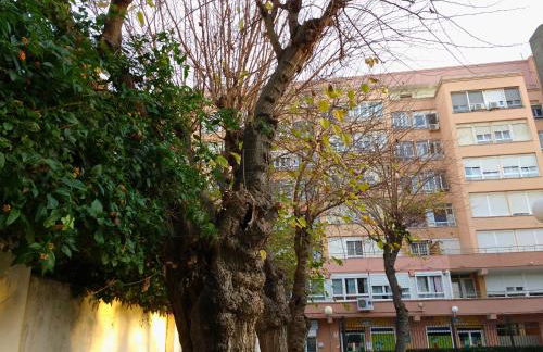 Apartamento Ecuador Cadiz a un minuto andando de la playa y a seis del casco antiguo - Foto 14