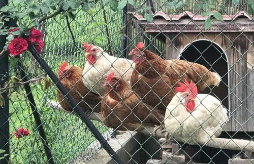 Appartamento A Due Passi - Foto 14