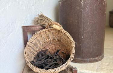 Alentejo Living - Foto 28