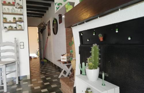 CAN CACTUS GARRIGUELLA - Foto 26