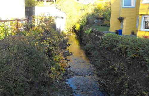 Brummers Ferienwohnung - Foto 9