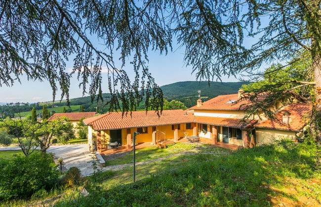 Rosa+Margherita+Lavanda+Ginestra+Gelsomi - Foto 3