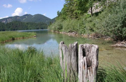 Ferienwohnungen Ortner-Hof inkl. Chiemgaukarte - Foto 18