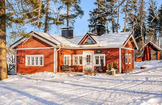 Punatulkku - Photo 1