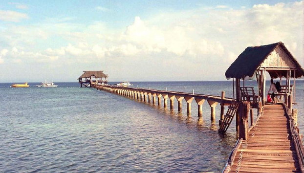 Columpio Isla de Cebú - Foto 2