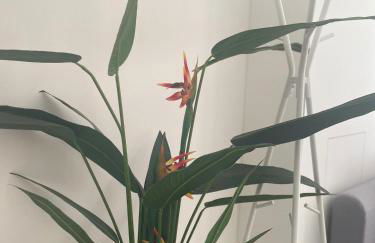 4lofts Fränkische Schweiz - Foto 44