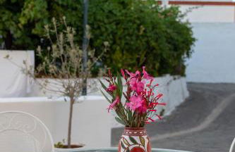 Seva's House - Foto 23