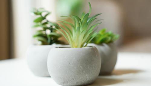 101-Freiburg - 2 Appartements - Foto 4