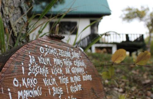 UNDER THE GREEN ROOF - Foto 74