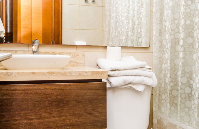 APART PROVIDENCIA SANTA BEATRIZ - Foto 20