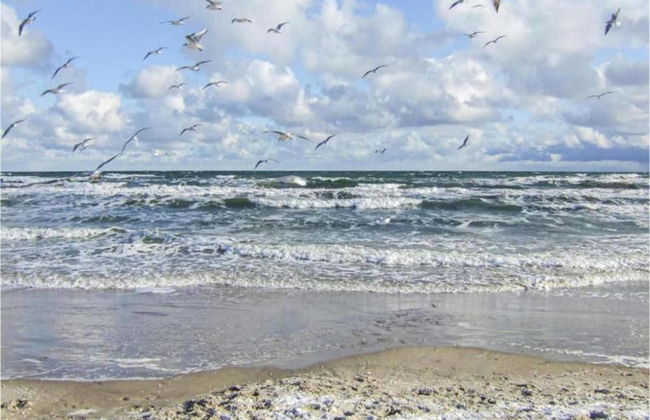 Gemuetliche Wohnung in Kluetz mit Garten - Foto 20