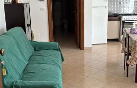 Il papavero rosso - Photo 3