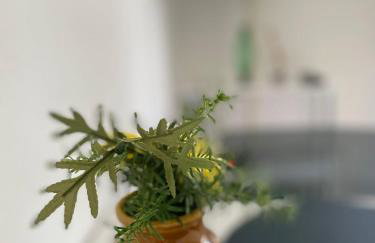 ZV-Scholtz Burghausen Mozartstr, 15 AP-KL - Foto 28