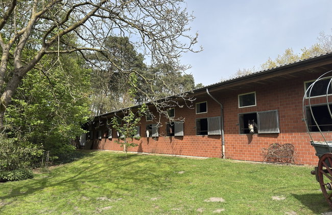 Ferienhaus in Kirchdorf mit Reiterhof - Foto 17