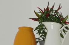 Civico92 - Mola di Bari - Foto 9