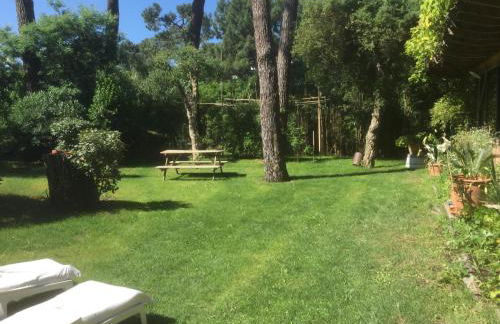 la maison face au port - Foto 4