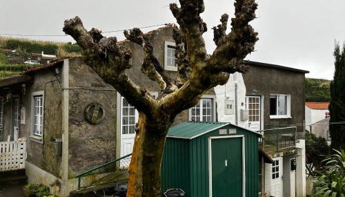 Casa do Stefan - Foto 2