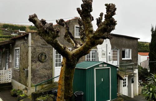 Casa do Stefan - Foto 1