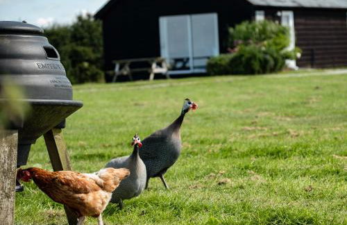 Dolphin Lodge - Photo 27