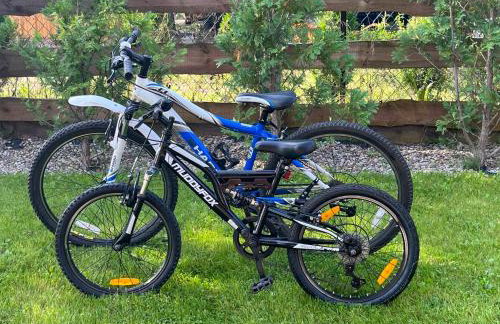 Mazury "Willa Ślimakowo" w Pasymiu - jacuzzi, sauna, pomost, łódka, rower wodny - Photo 41