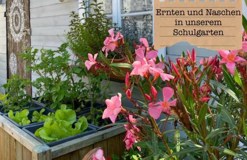 ALTE SCHULE WITTENBERG, 3 Ferienwohnungen für bis zu 12 Personen, an der Elbe, mit Garten - Foto 39