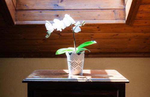 Casa Montanha Gerês - Foto 11