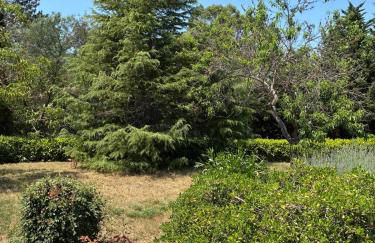 Vacation home with pool - Foto 21