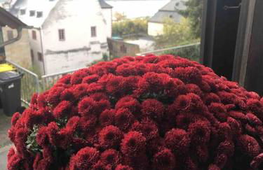 House Four Castles View - A whole House for you!! - Foto 27