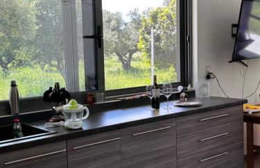 Elaiocampus luxury house - Foto 36