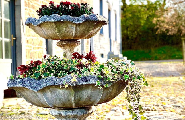 Elegant Hillside Mansion - Photo 36