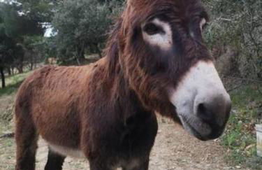 Beautiful spot for remote work (and romance!) - Foto 8