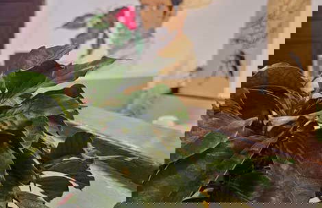 Atelier et dégustation de café colombien à La Candelaria - Photo 8