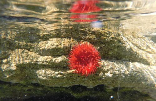 L'Original, Superbe appartement à 5min de la plage - Foto 51