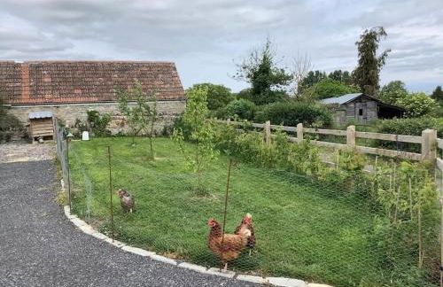 Apple Lodge self contained annex - Foto 11