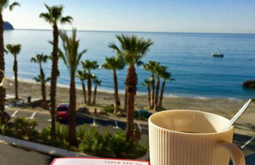 Rosa Nautica 3 - Photo 3