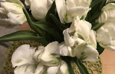 Ferienwohnung Beyer Friedrichroda - Foto 10