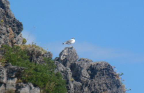 Sea House Kamaraton - Foto 49