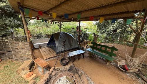 Casa da Árvore - Foto 4