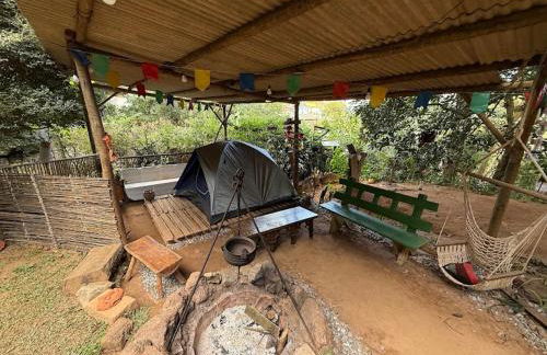 Casa da Árvore - Foto 4